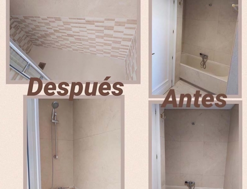 Cambio de bañera por plato de ducha